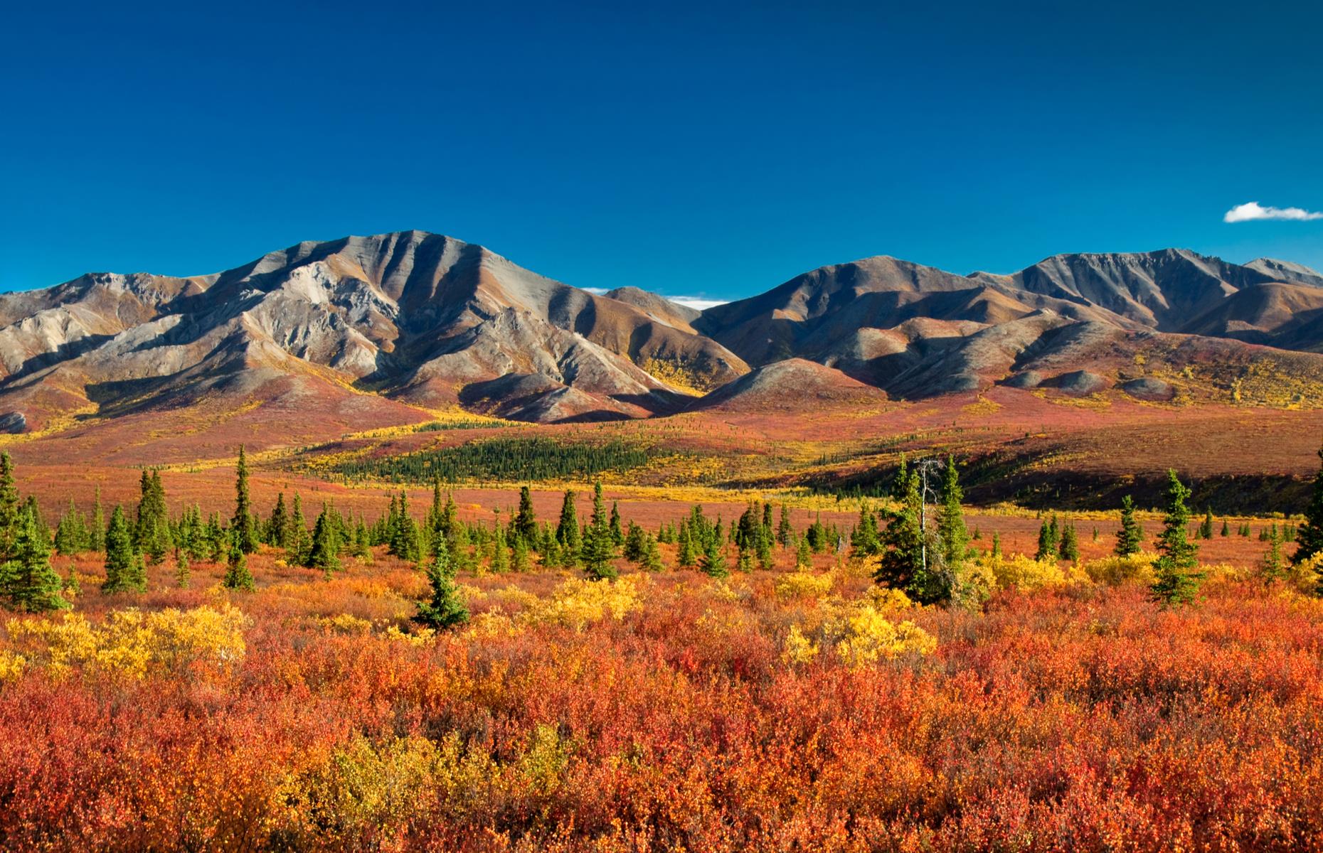 Denali National Park, Alaska