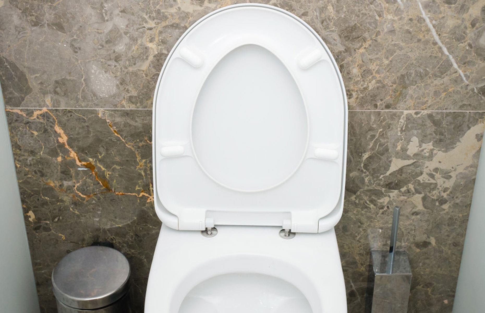 Leaving the toilet seat up 