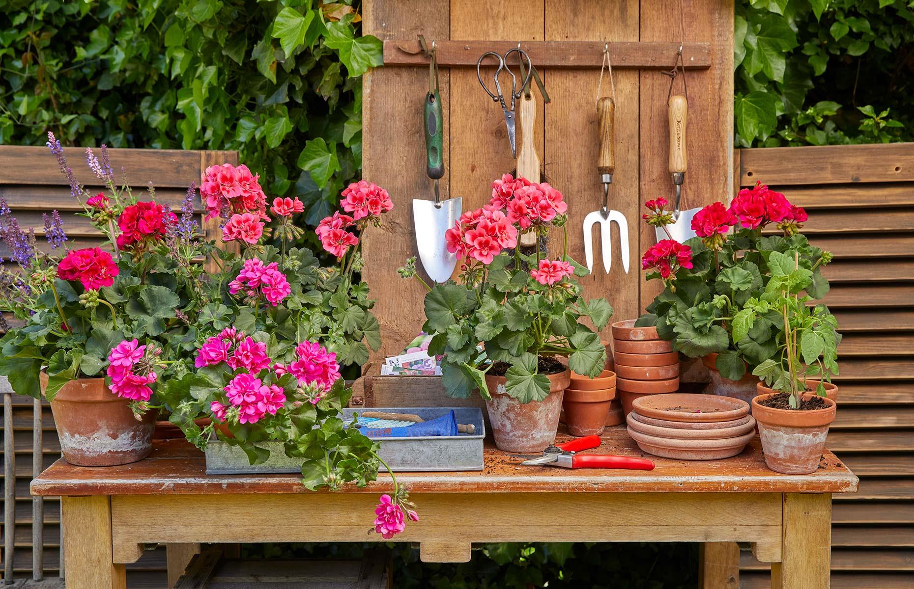 DIY a potting table