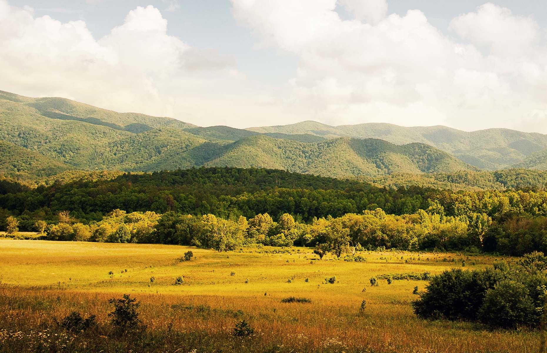 Cades Cove is a must-visit for history and nature buffs