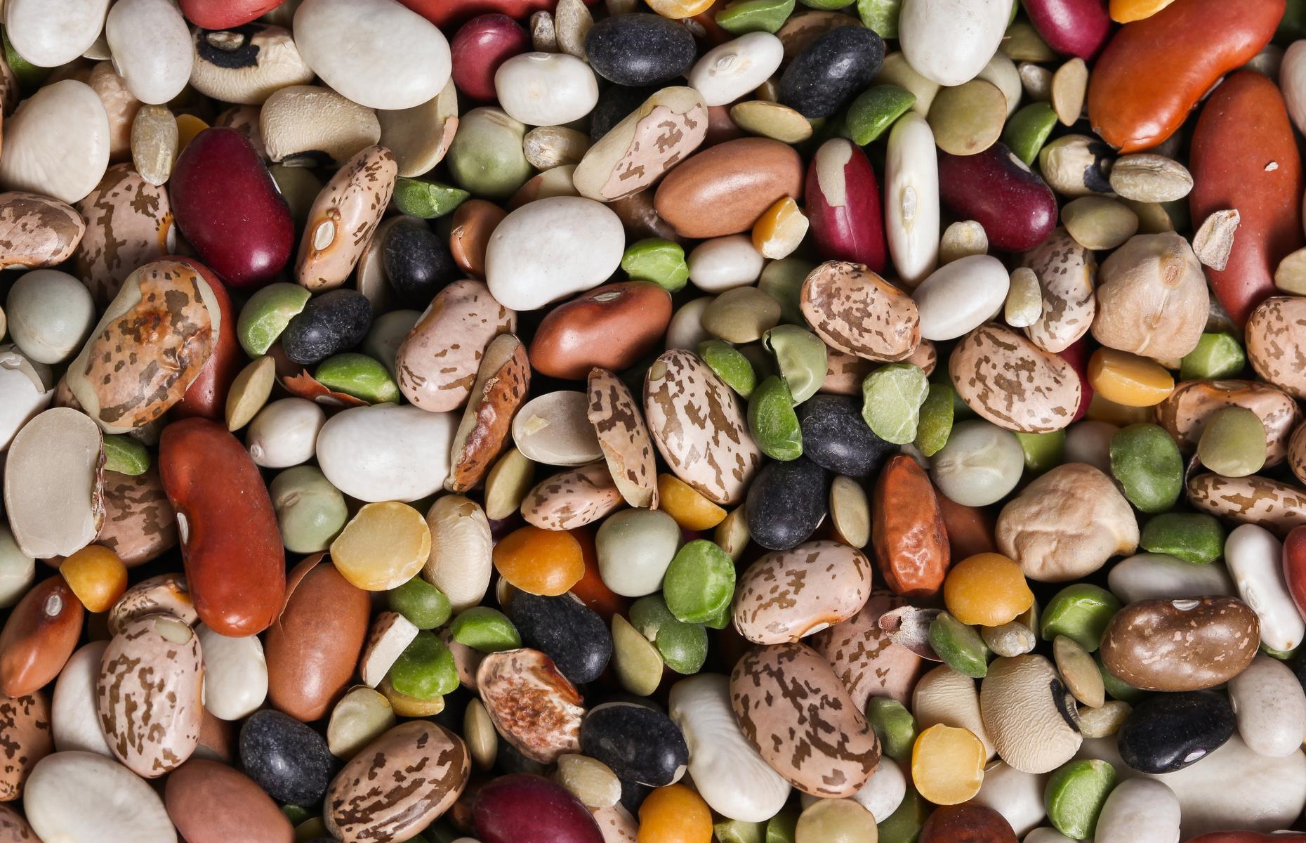 Beans