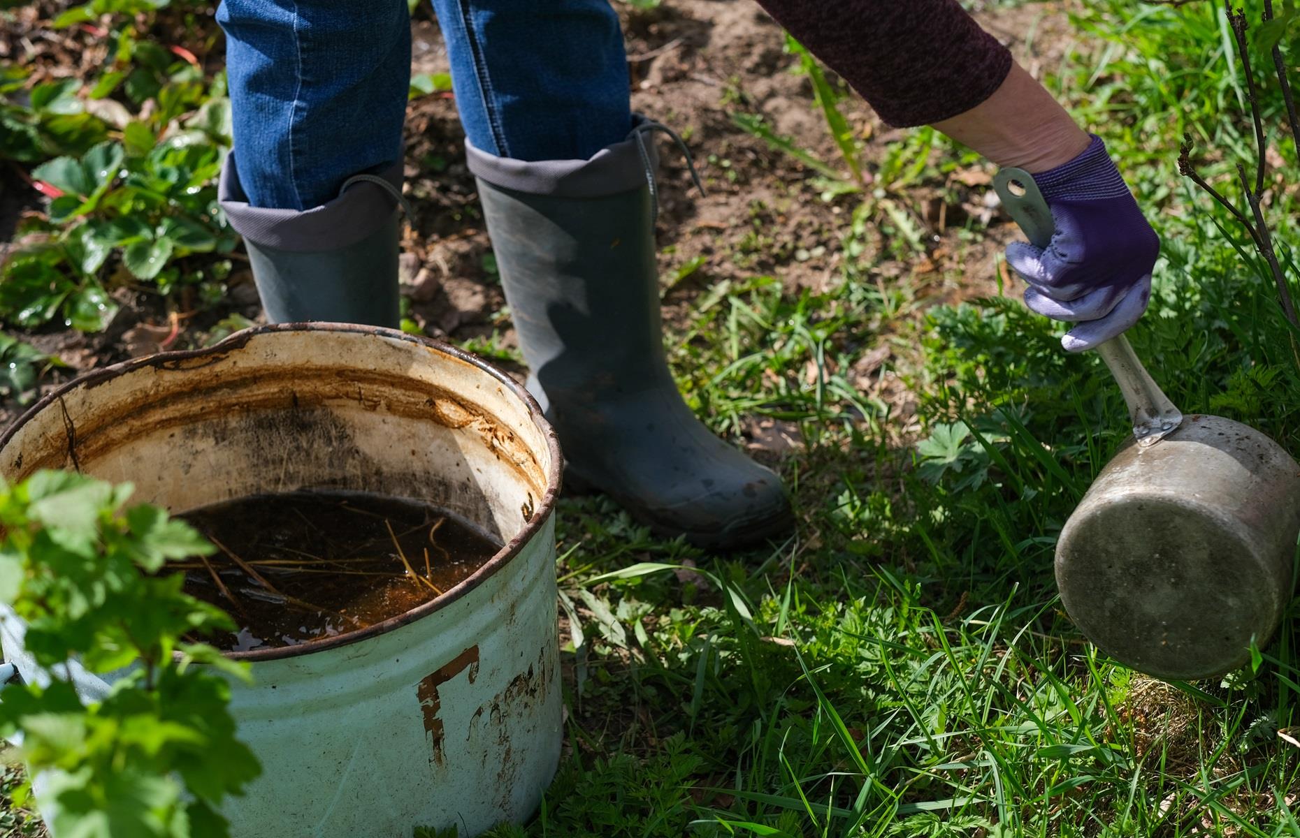 Serve compost tea