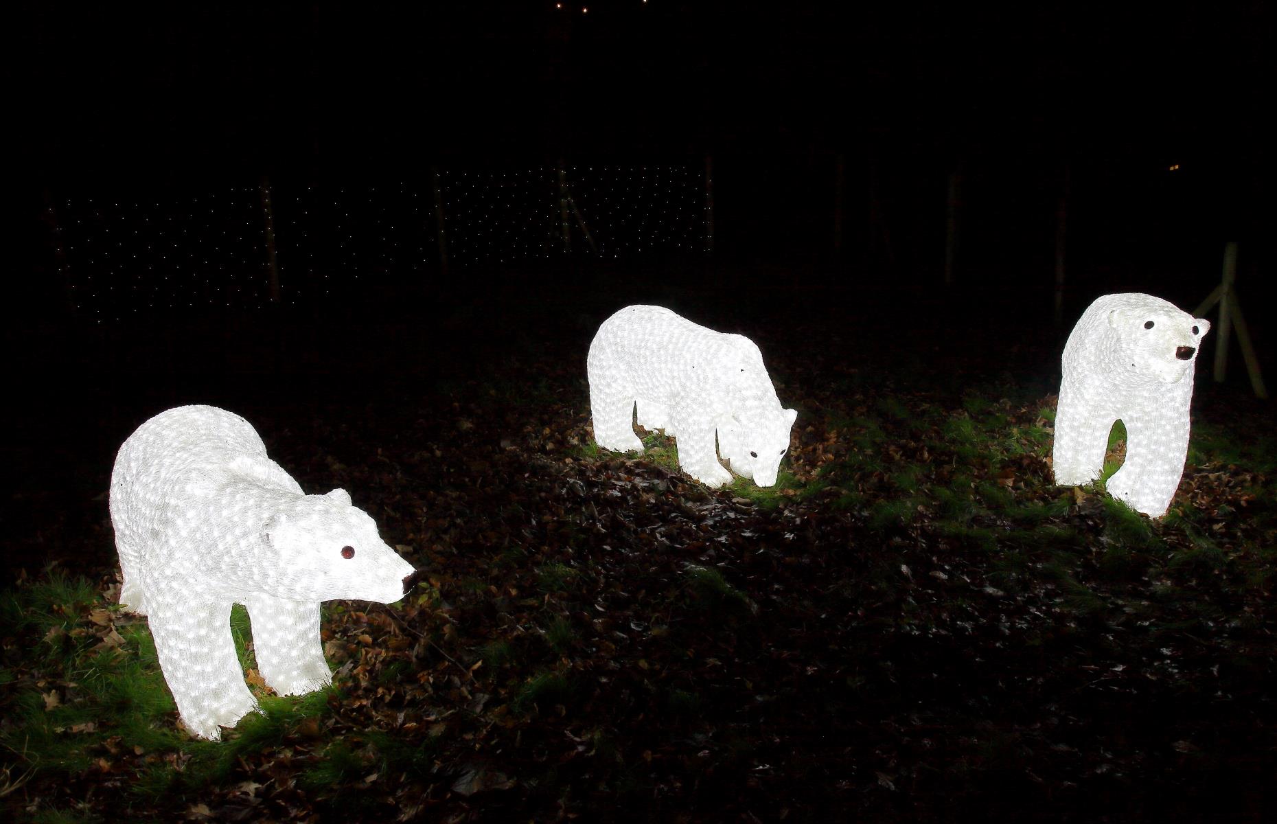Enchanted: Knowsley Safari Christmas Lights, Merseyside