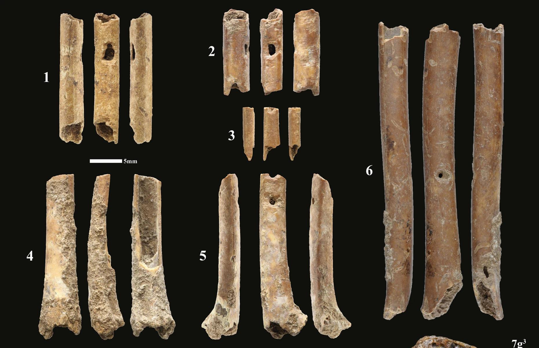 Natufian flute instruments, Israel