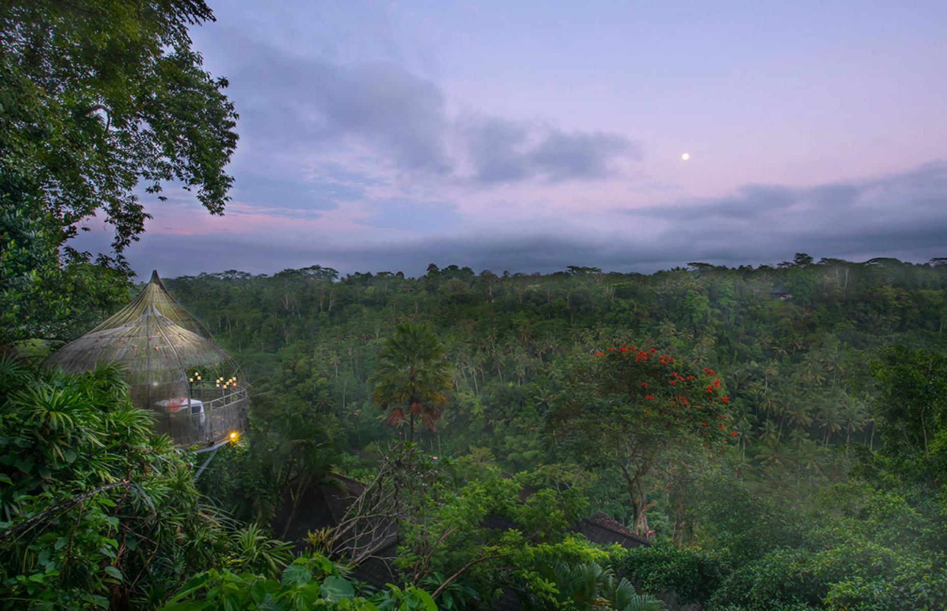 La View: Ubud, Bali