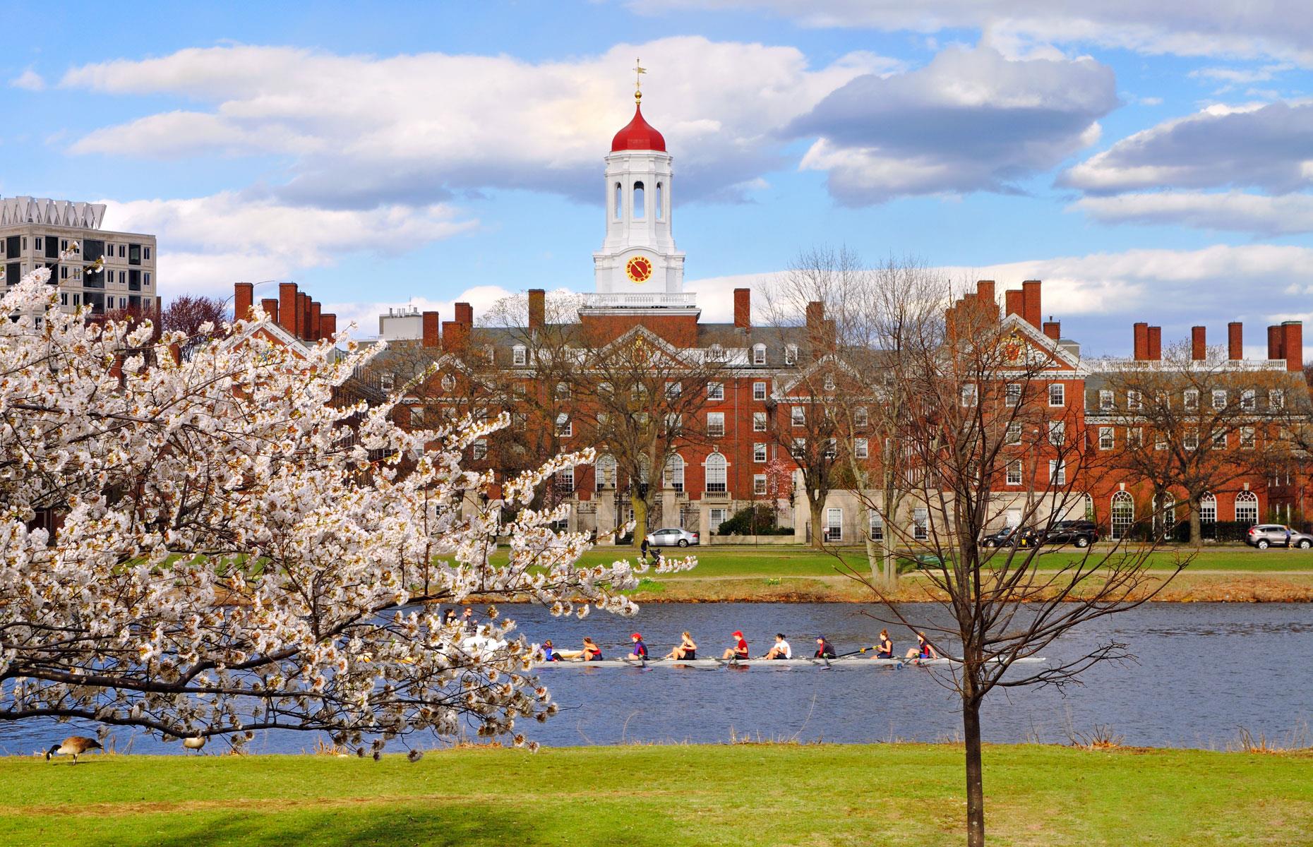 1) Harvard University, USA: 13,650