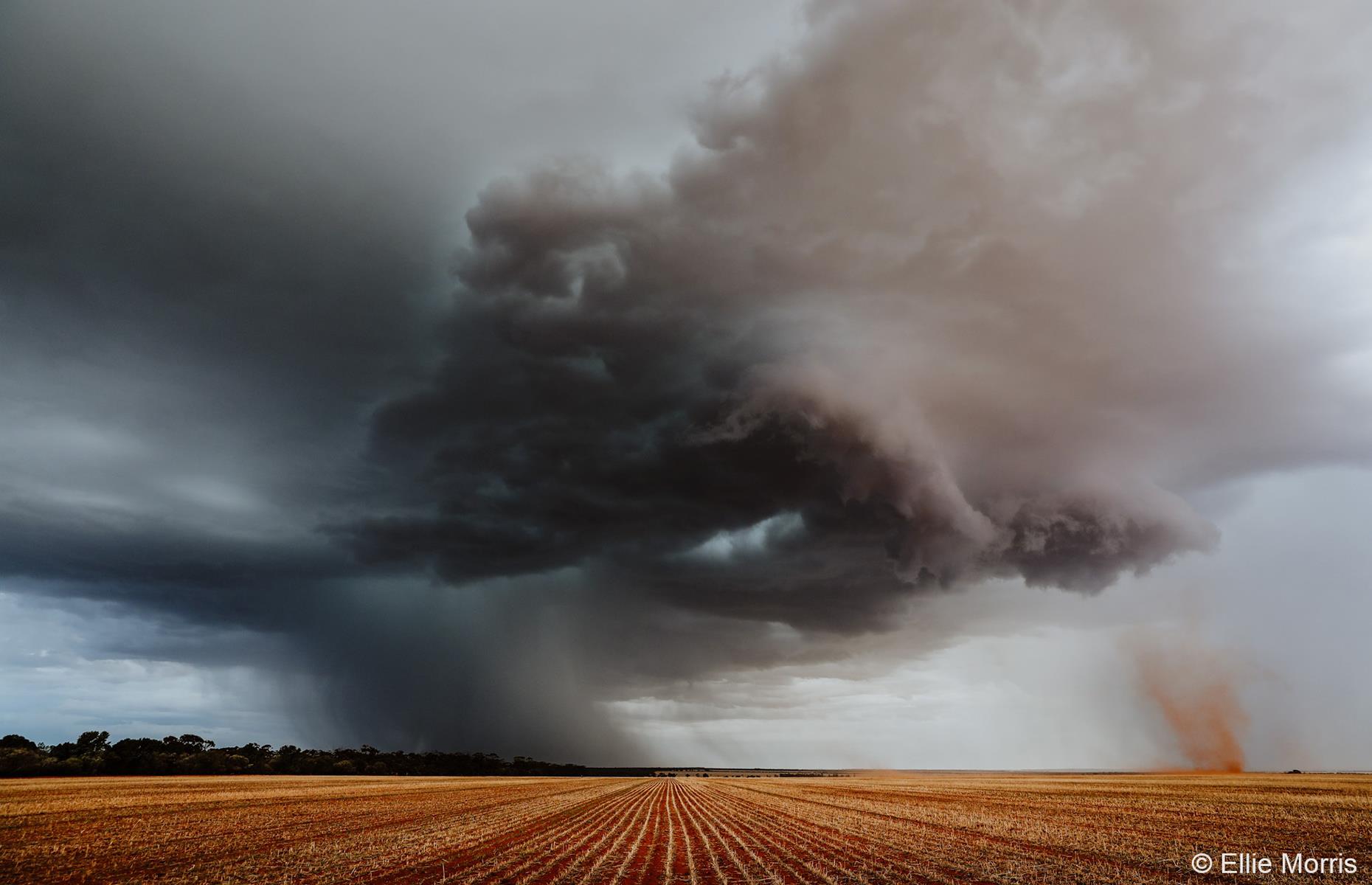 Forces of Nature by Ellie Morris