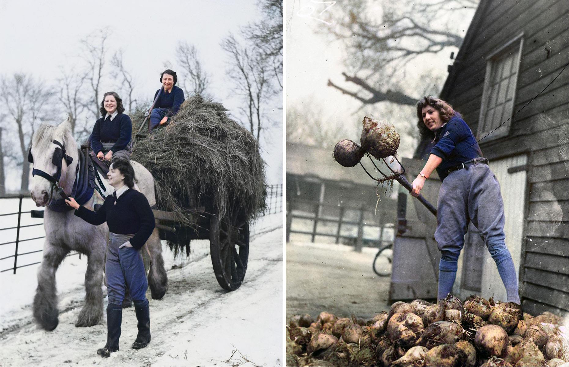 c 1942: land girls at work in Tooting, UK