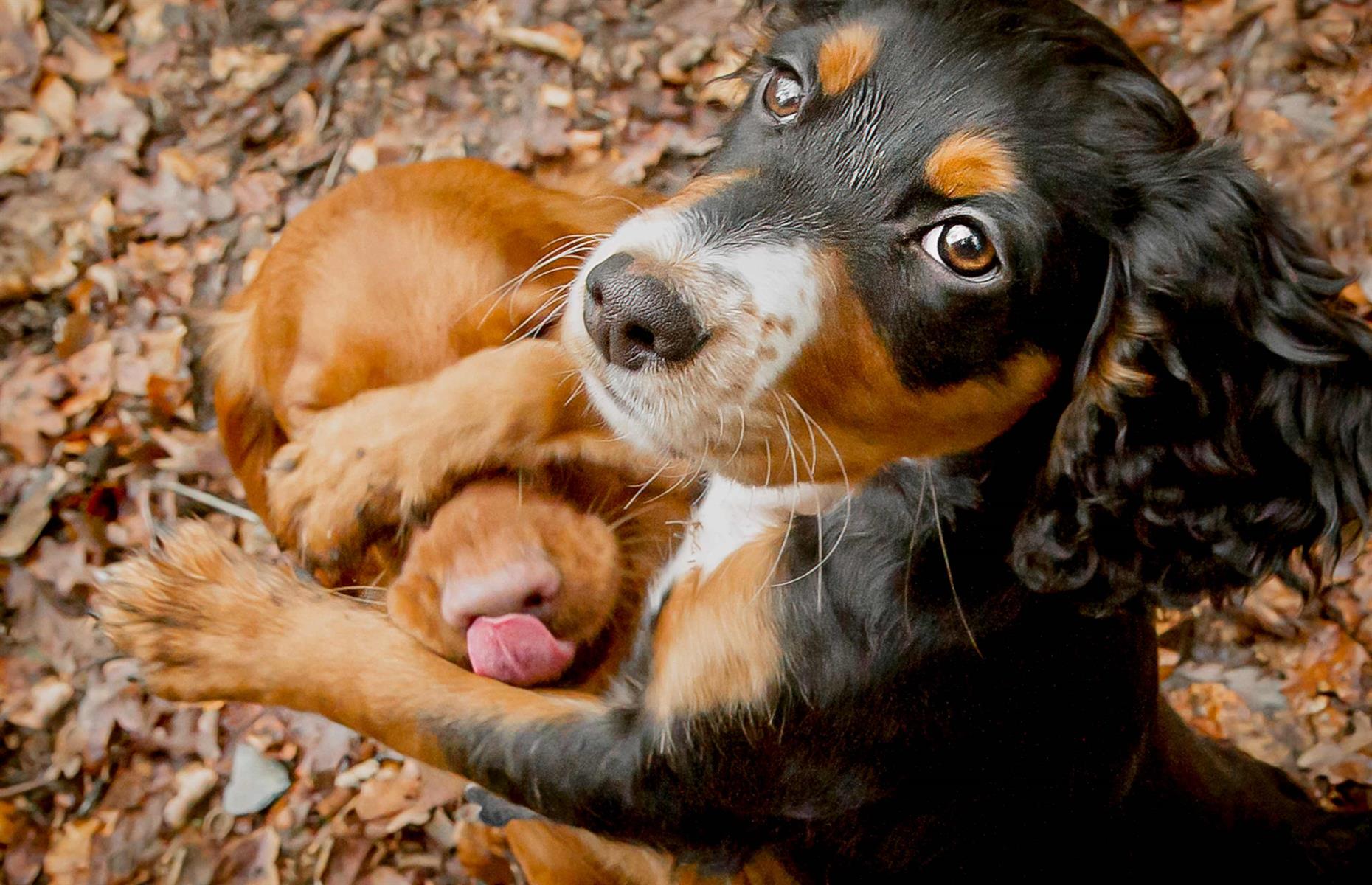 Mine, not yours!