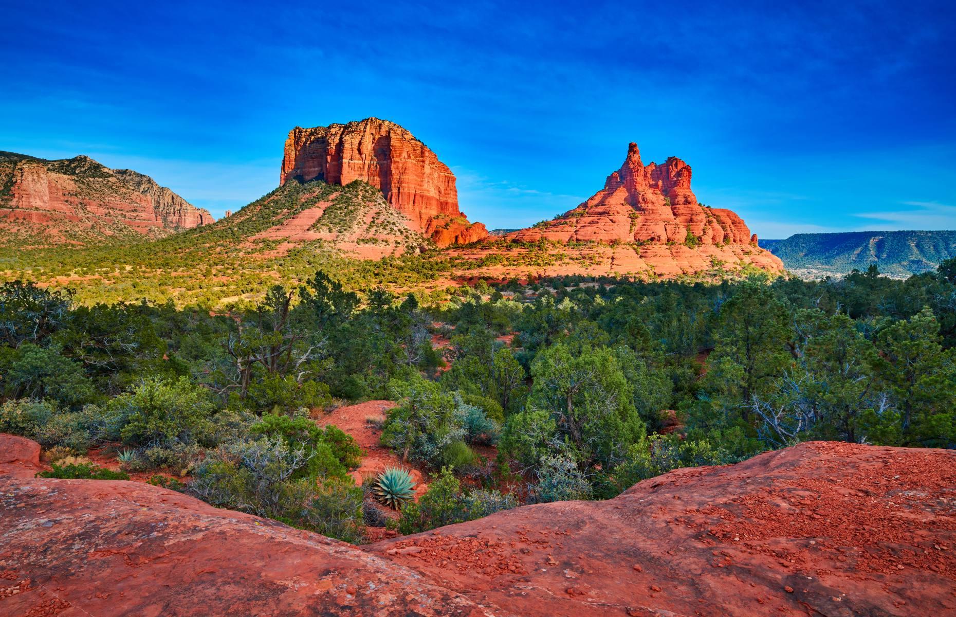 25. Coconino National Forest, Arizona