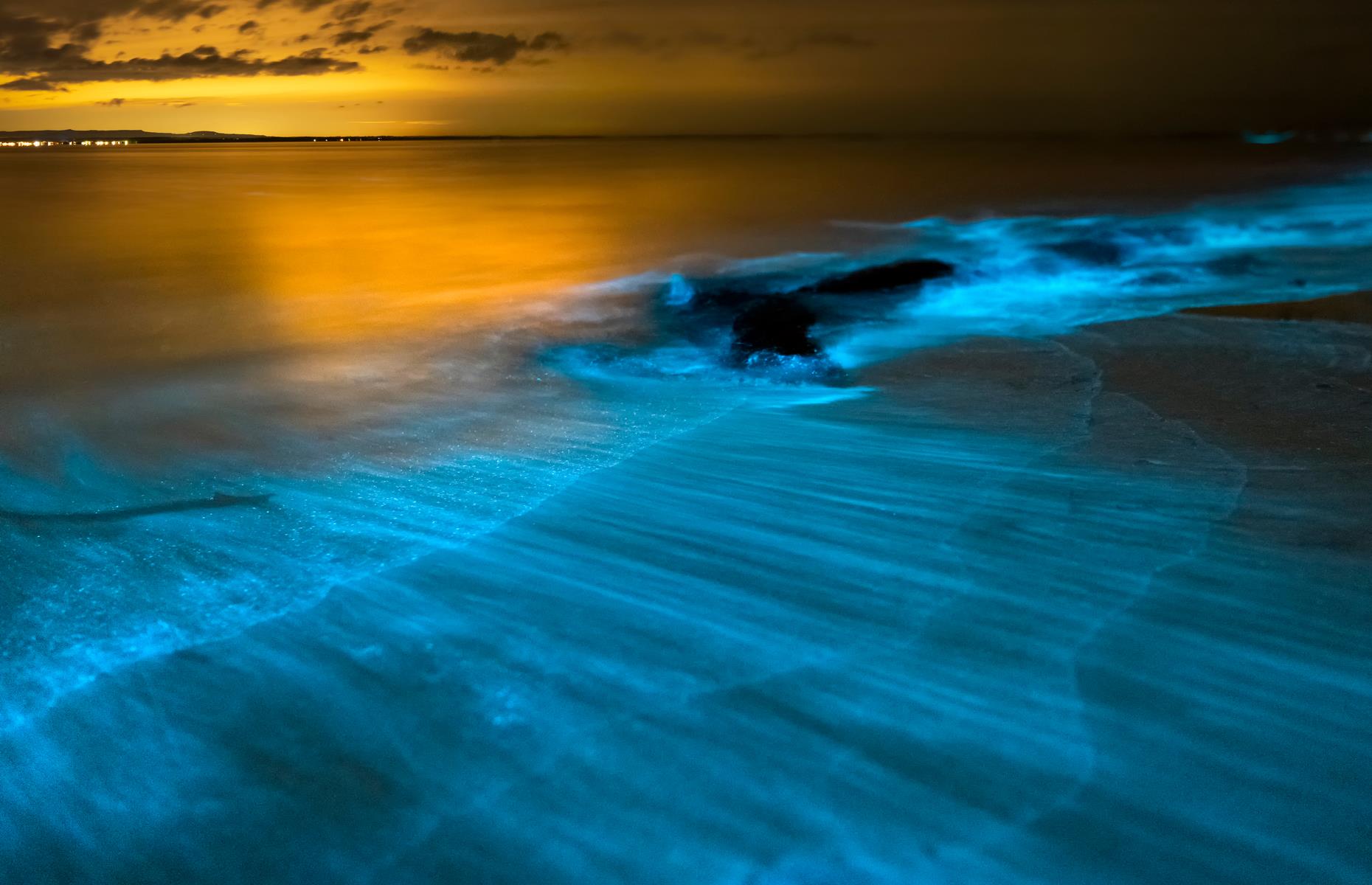 Bioluminescence, Jervis Bay, New South Wales