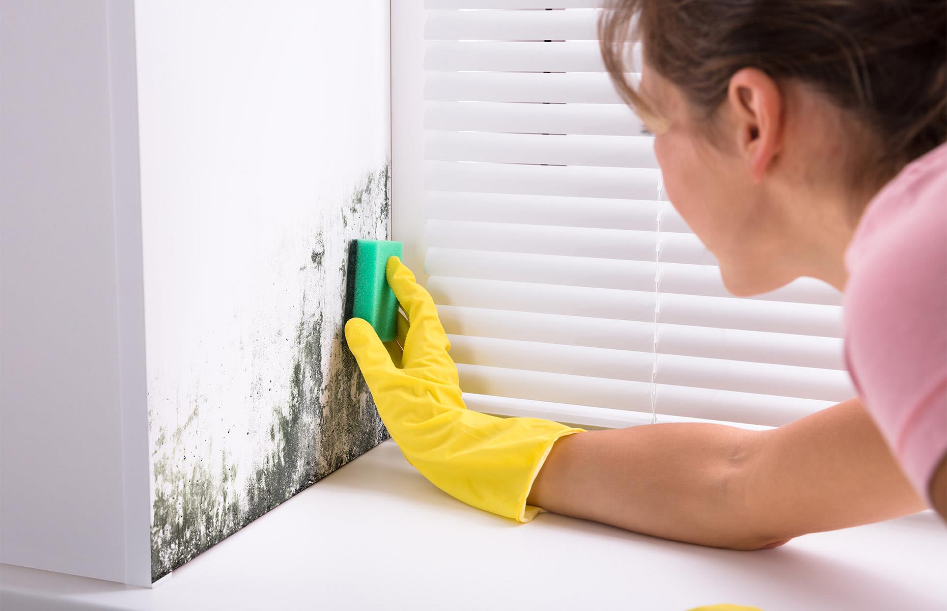 Banish mould hot spots