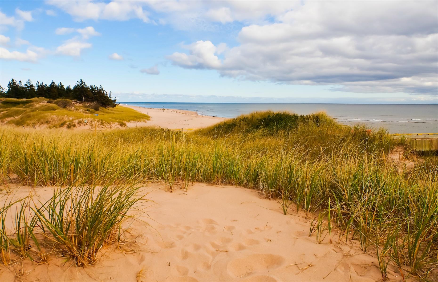 Basin Head Beach, Prince Edward Island