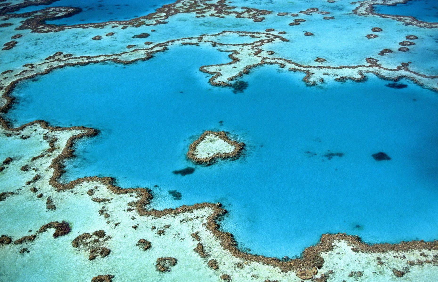 Great Barrier Reef, Australia 