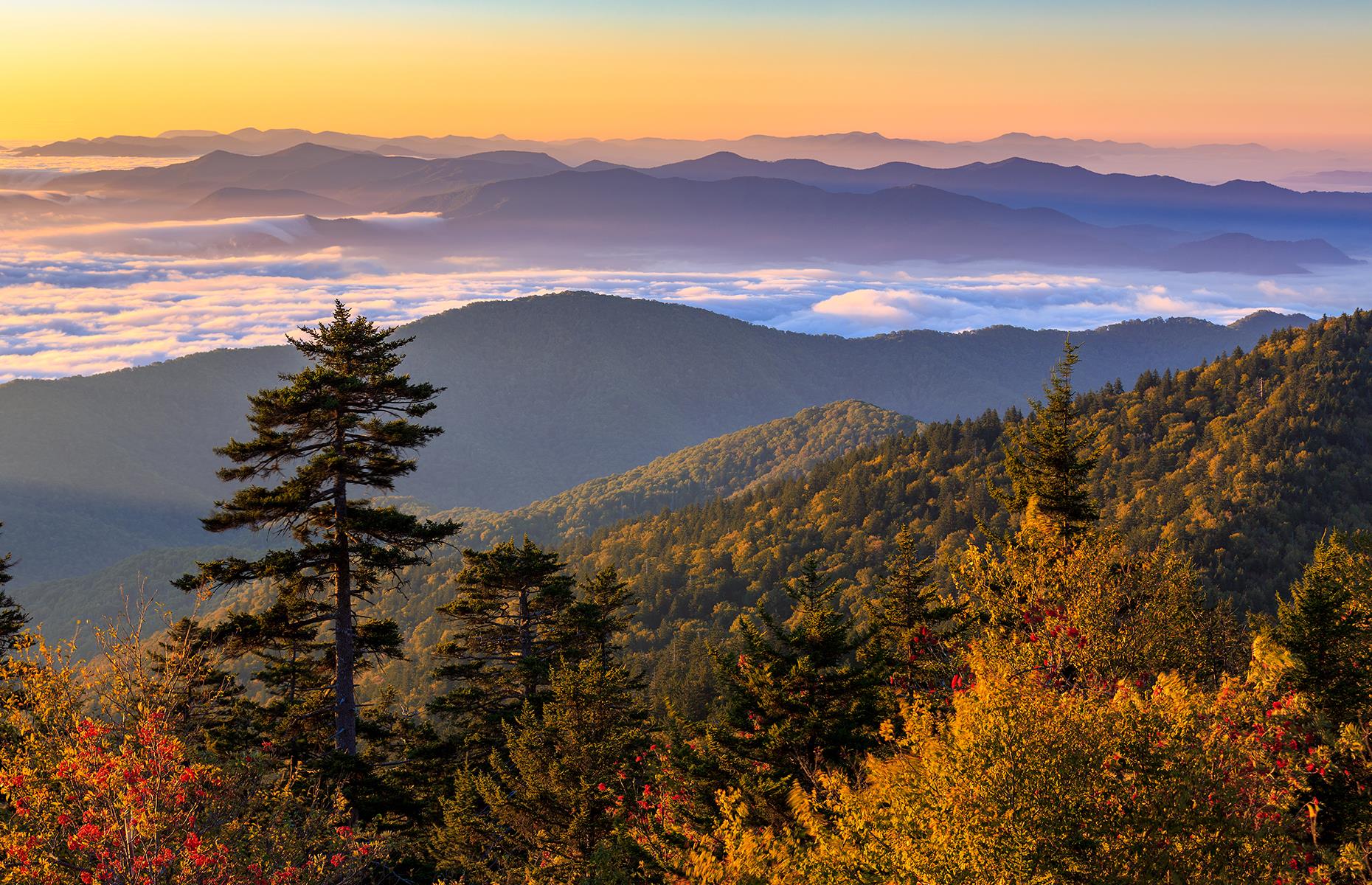 Tennessee: Great Smoky Mountains National Park