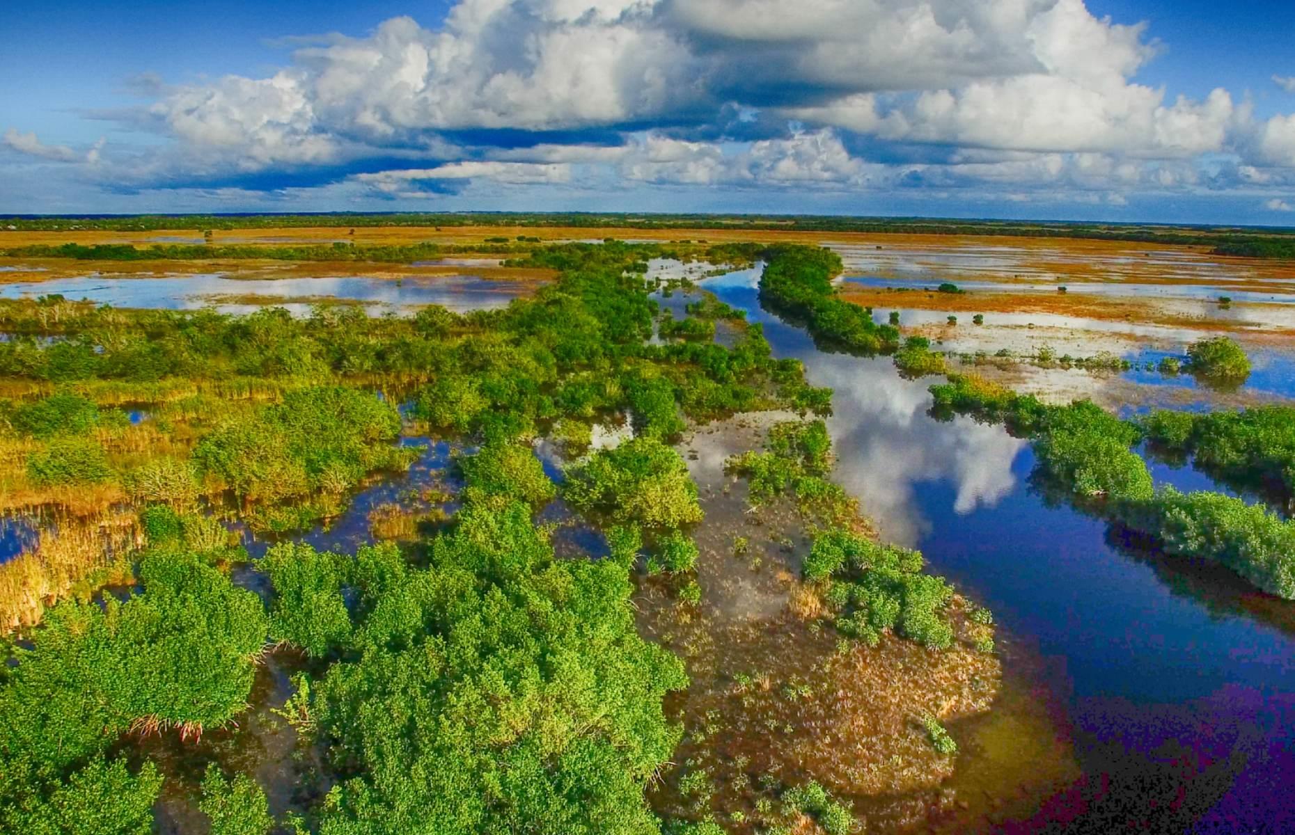 16. Everglades, Florida