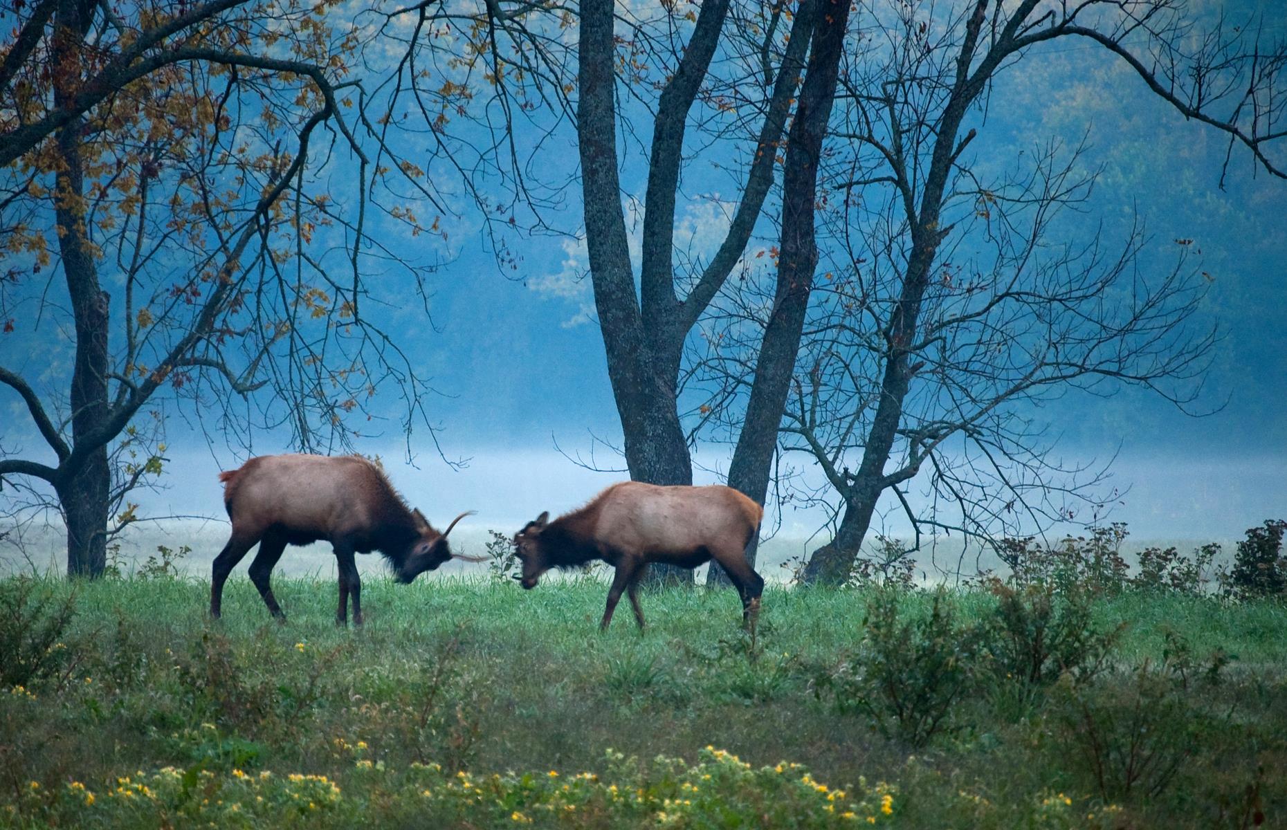 Ozark National Forest, Arkansas