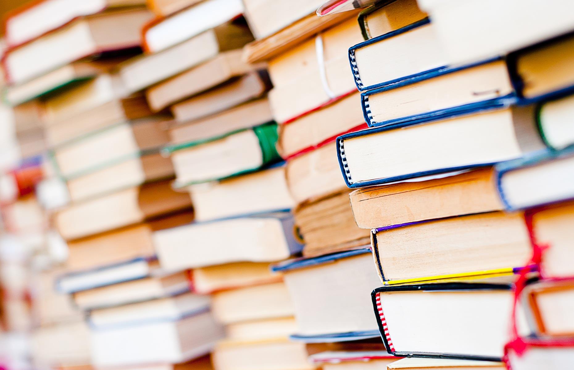 What you can take to the tip: books