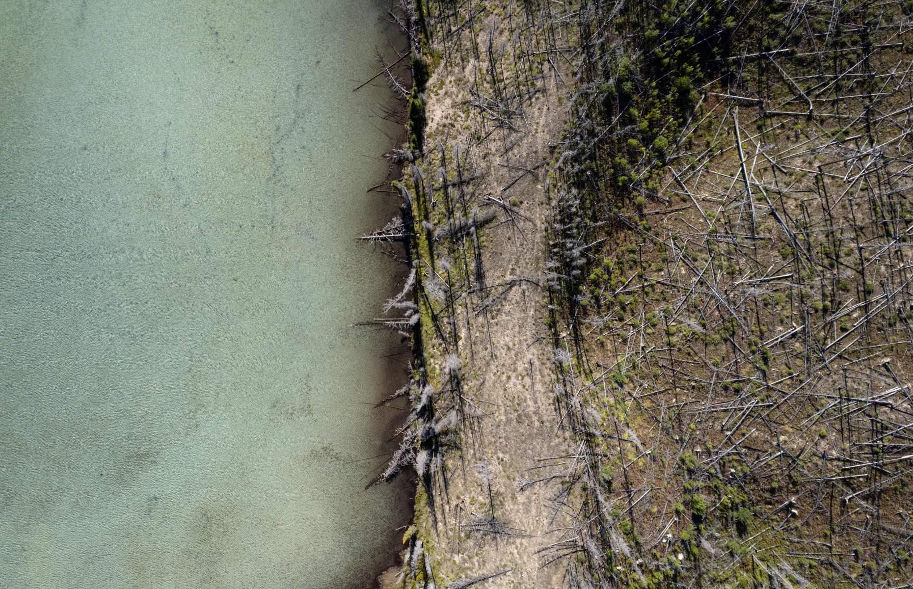 Boreal forest, Saskatchewan