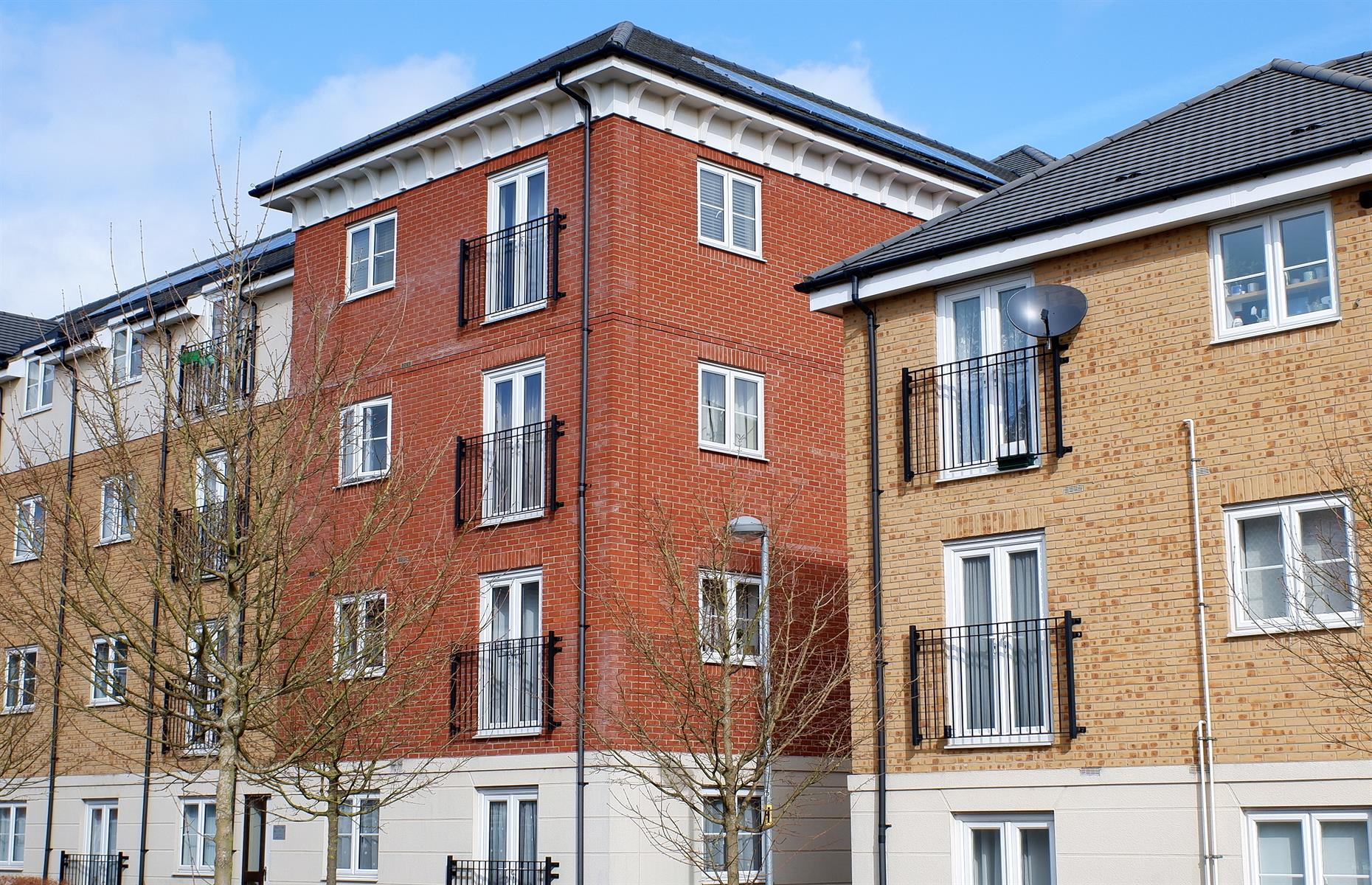 Being confused about leasehold and freehold 