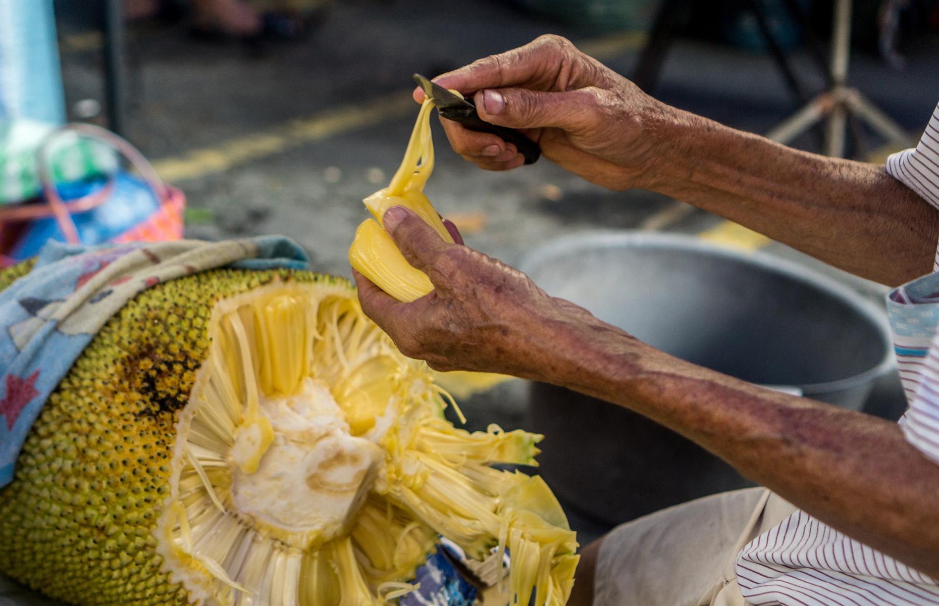 Jackfruit