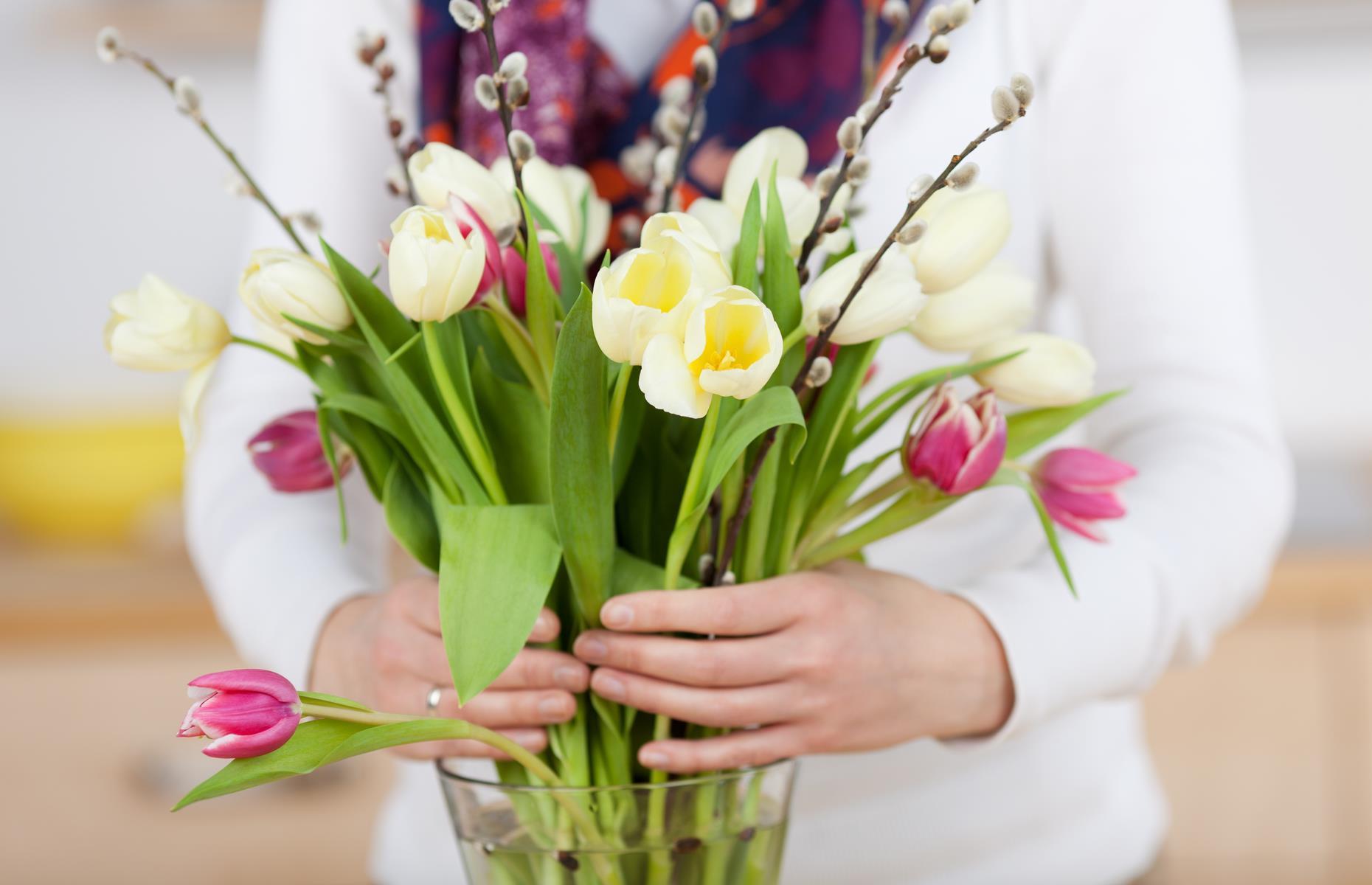 Как продлить жизнь тюльпанам. Весенний букет в руках. Весенние цветы в руках. Весенний букетик в руках. Руки с весенними цветами.