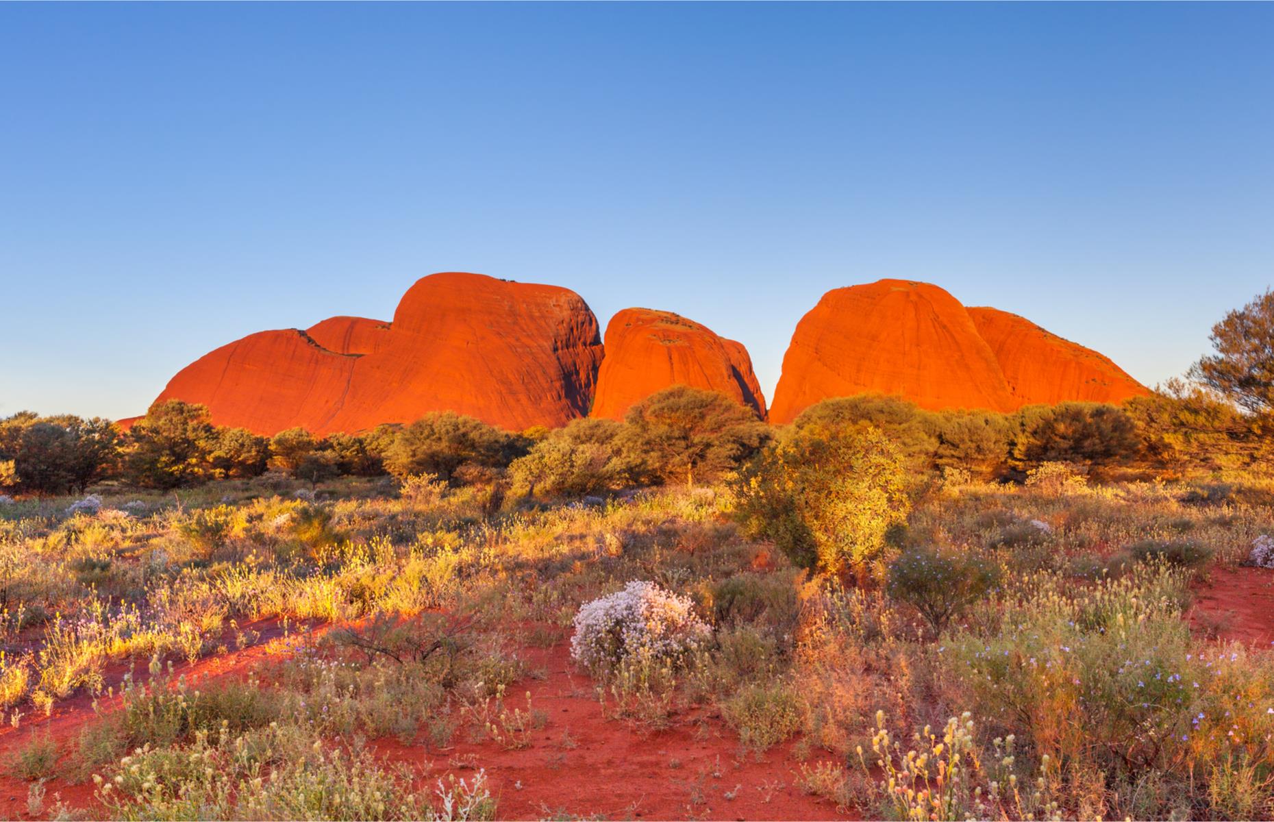Northern Territory: Alice Springs to Uluru-Kata Tjuta National Park
