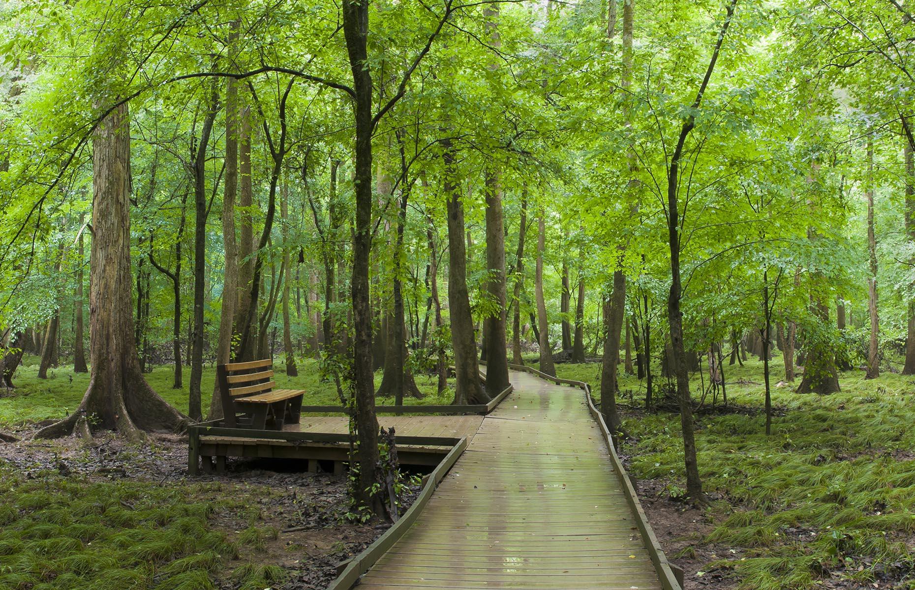Columbia, South Carolina