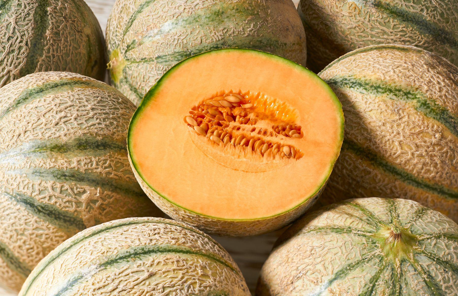 Cantaloupe 