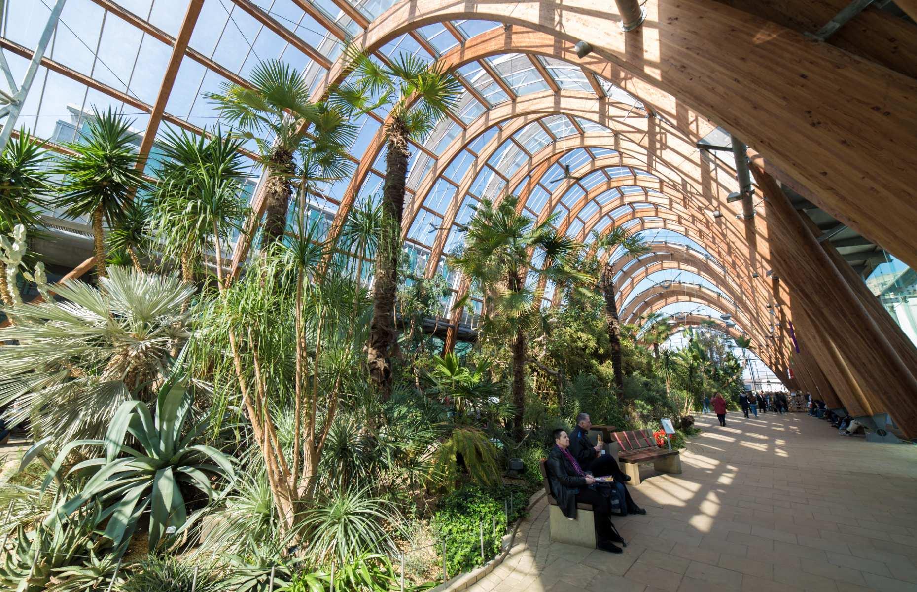 Sheffield Winter Garden, Sheffield, England, UK