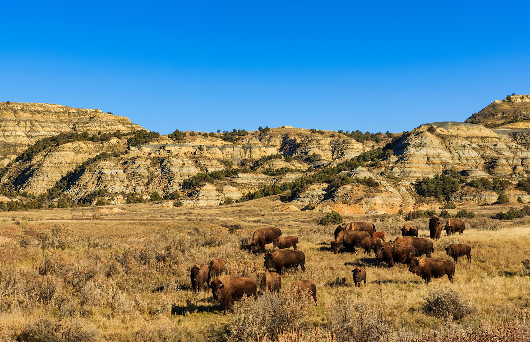 North Dakota: Theodore Roosevelt National Park