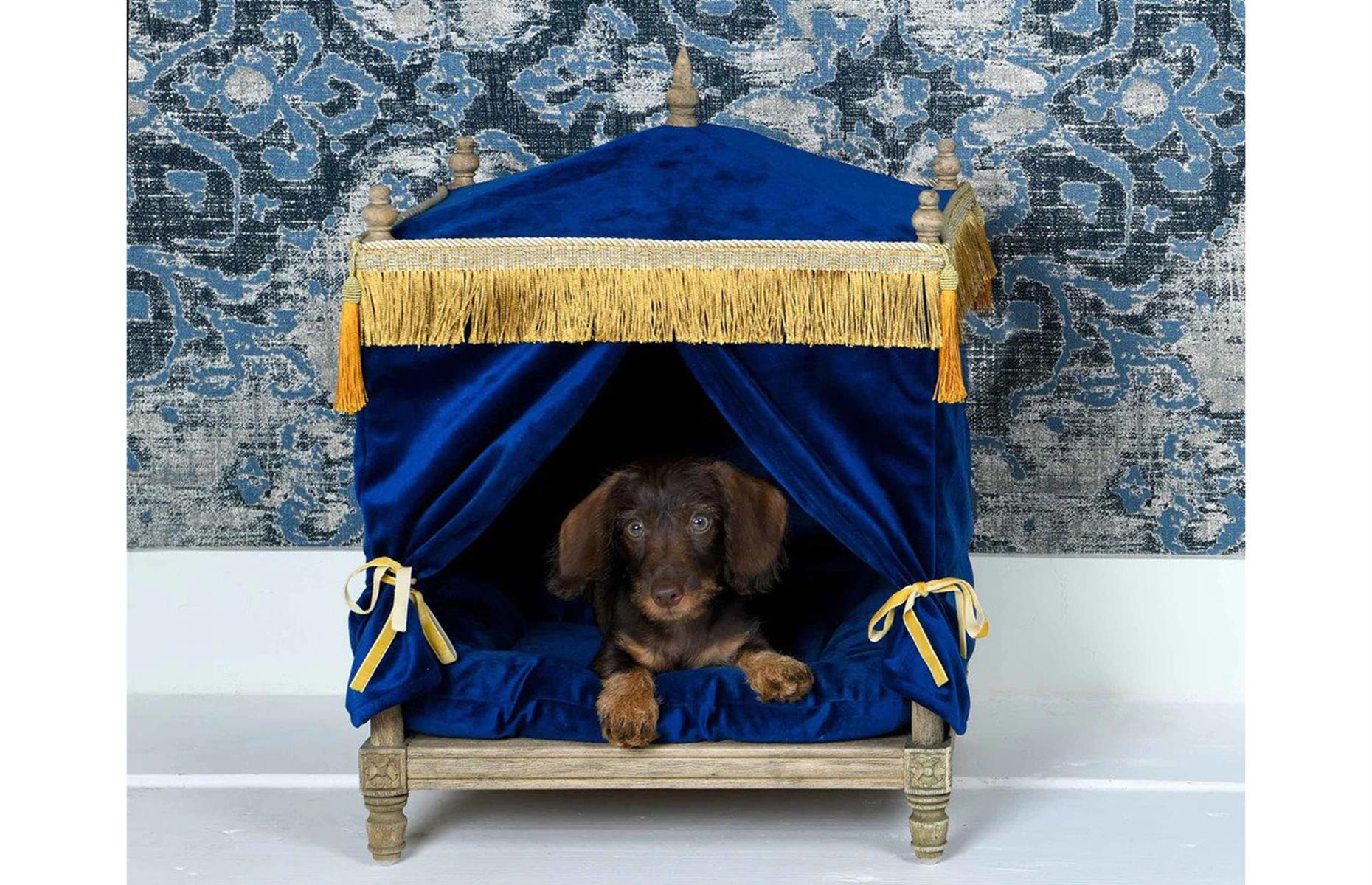 A velvet pet palace