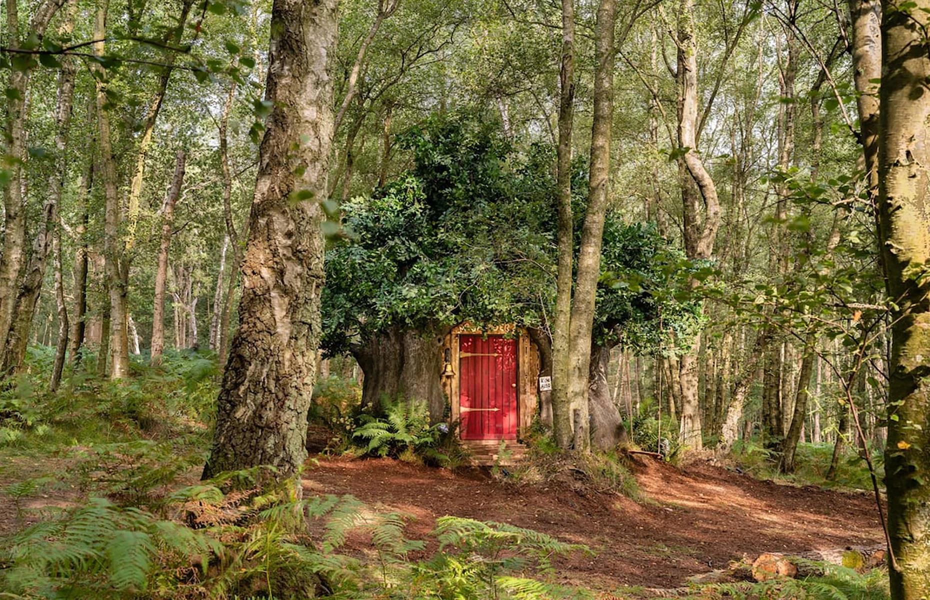 Bearbnb, East Sussex, UK