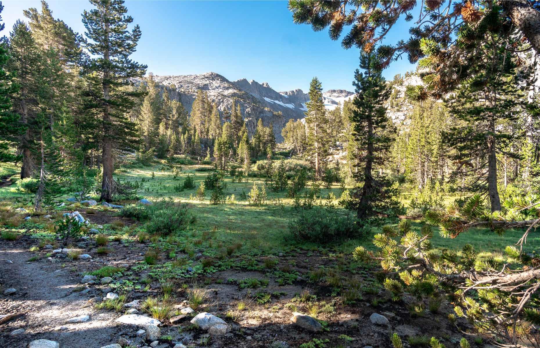 21. Sierra National Forest, California