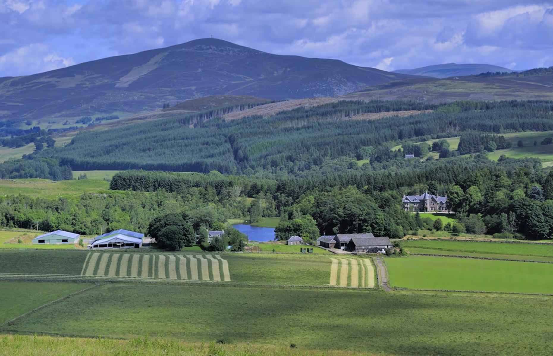 Persie House: secluded countryside location