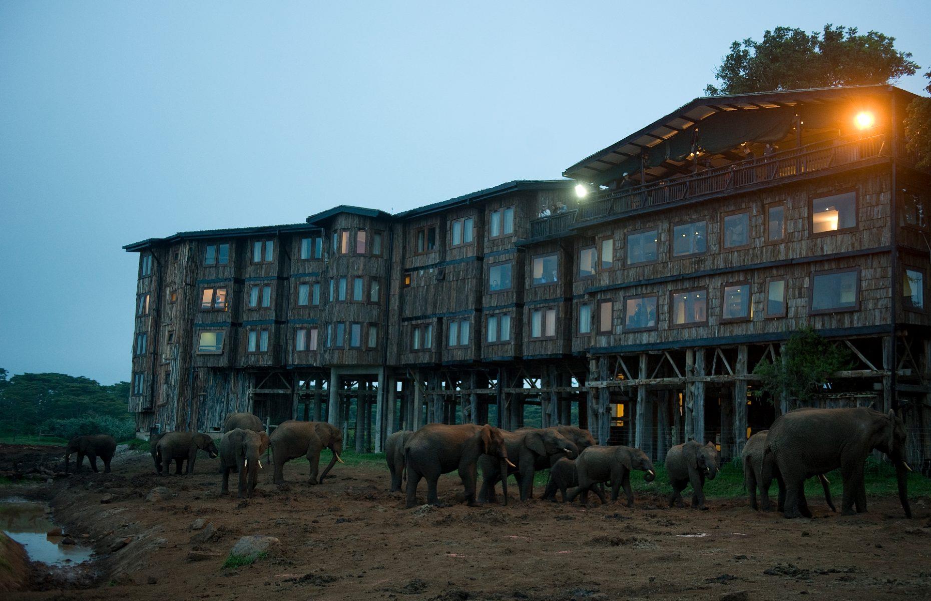 Treetops Safari Lodge, Aberdare National Park, Kenya