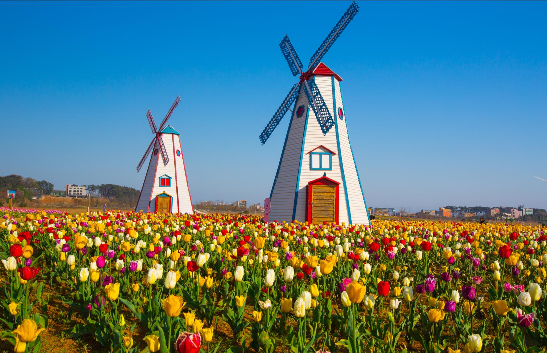 Michigan: Holland