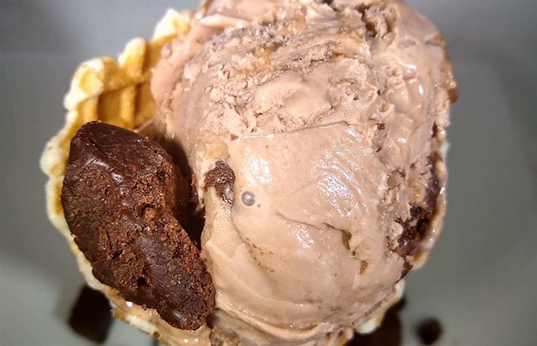 North Carolina: The Local Scoop, Charlotte