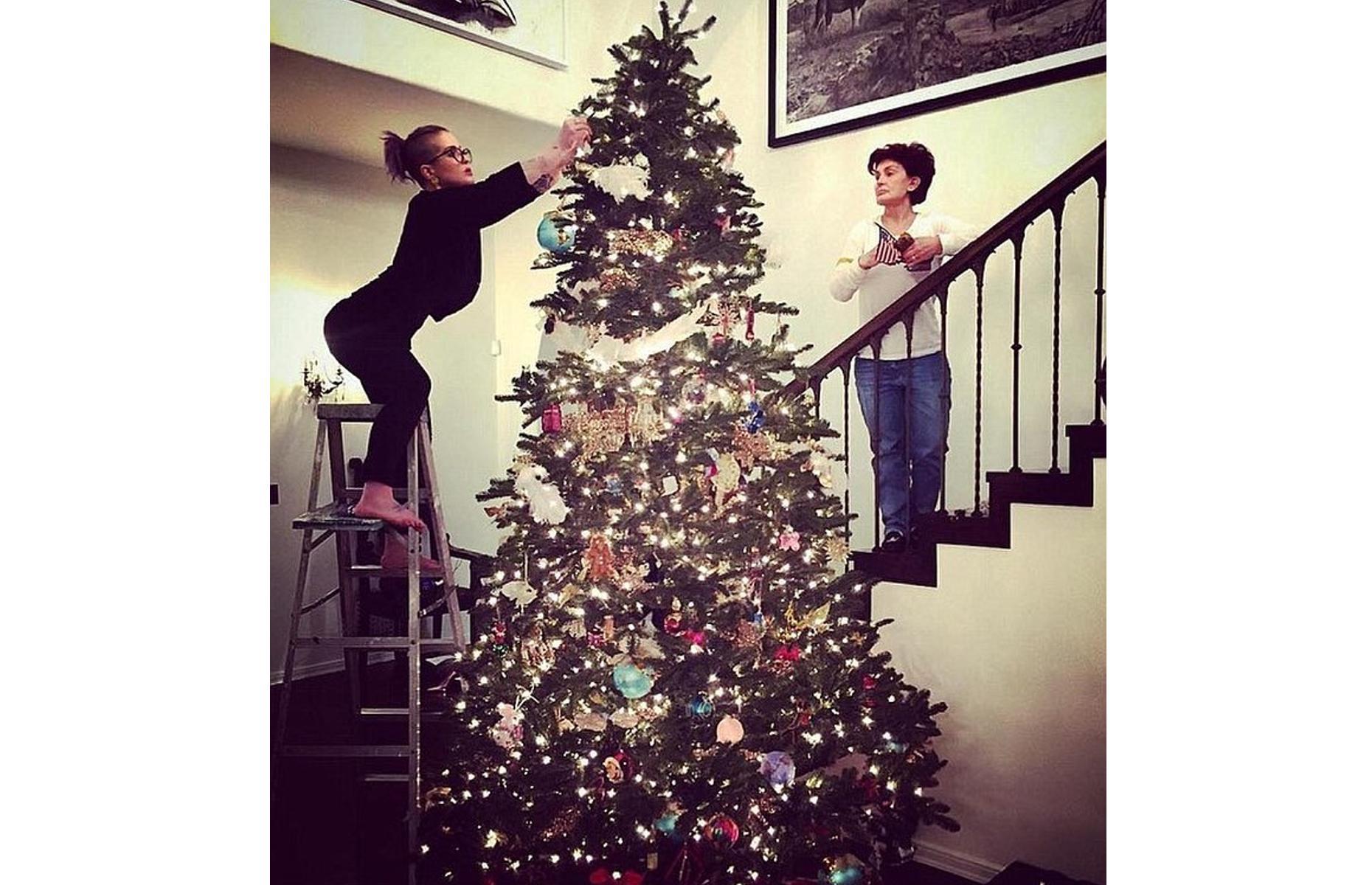 The Osbournes
