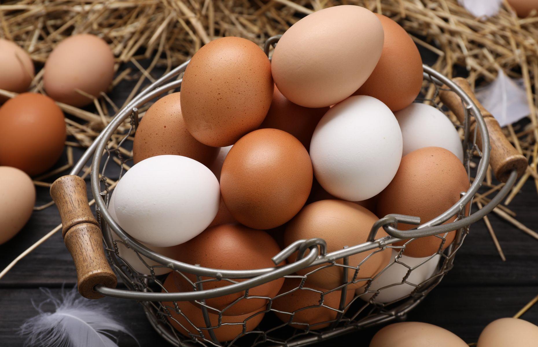 Fresh eggs