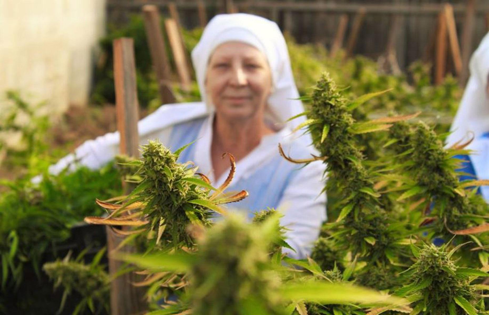 Sisters of the Valley – medical marijuana grown by nuns