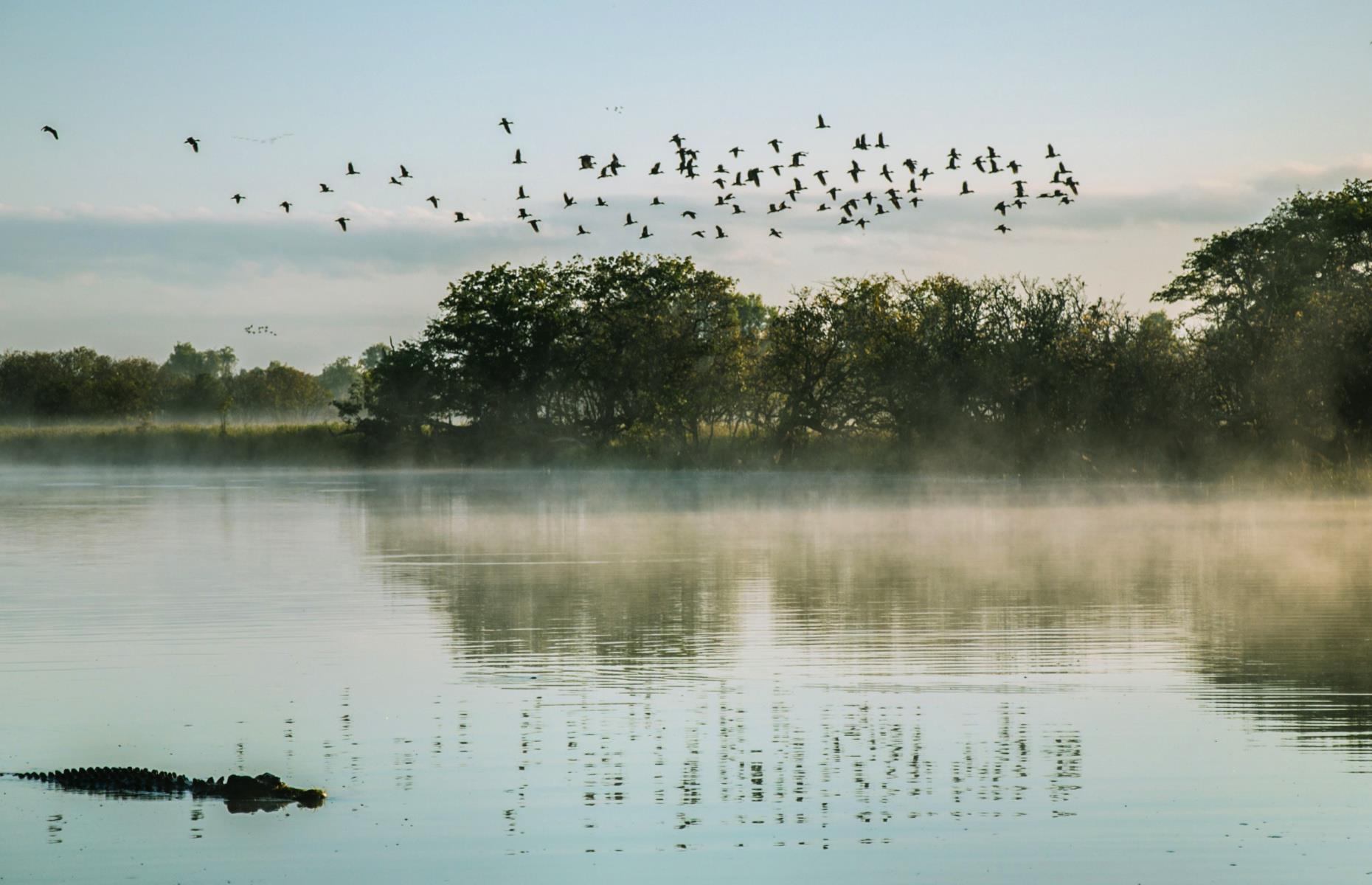10. Watch (and hear) the dawn chorus, Kakadu, Northern Territory