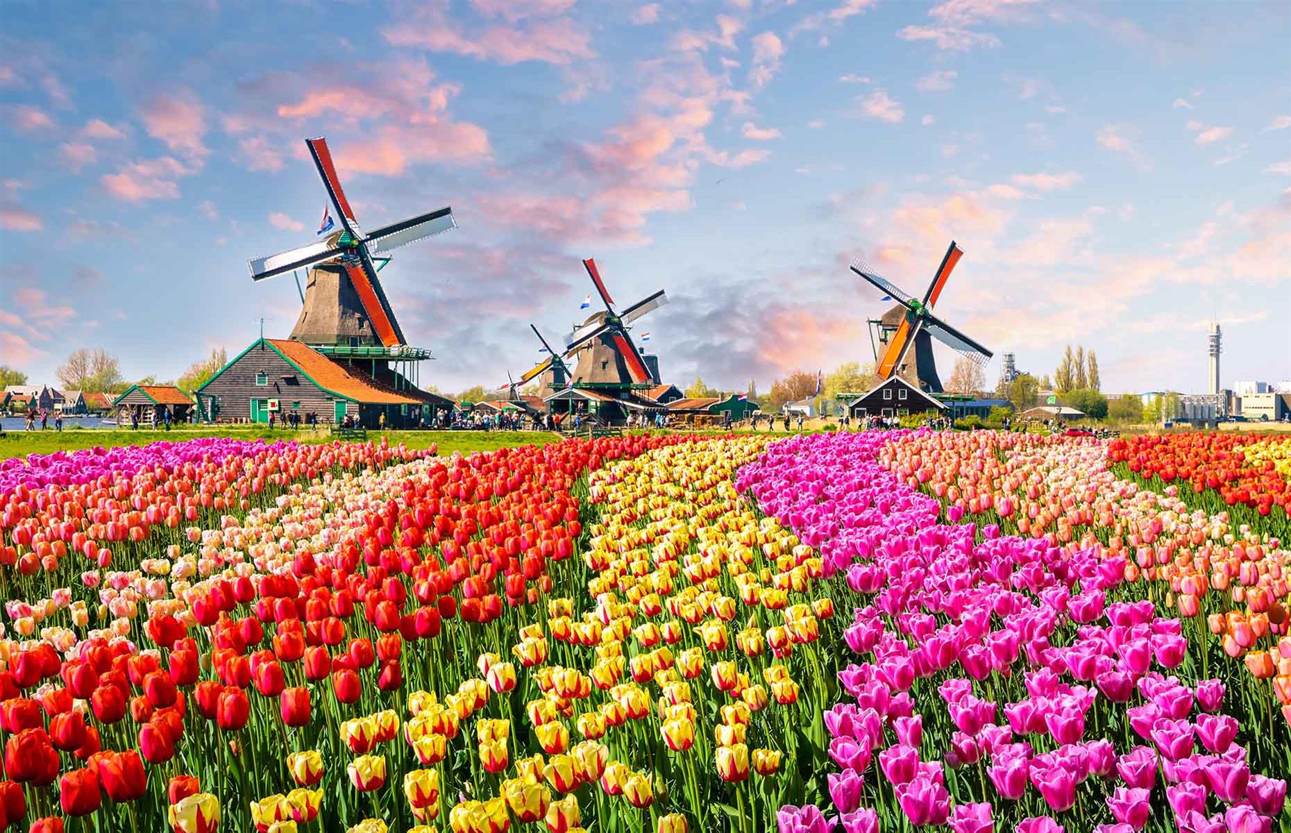 The Netherlands: 20 years (£40,353 per year)