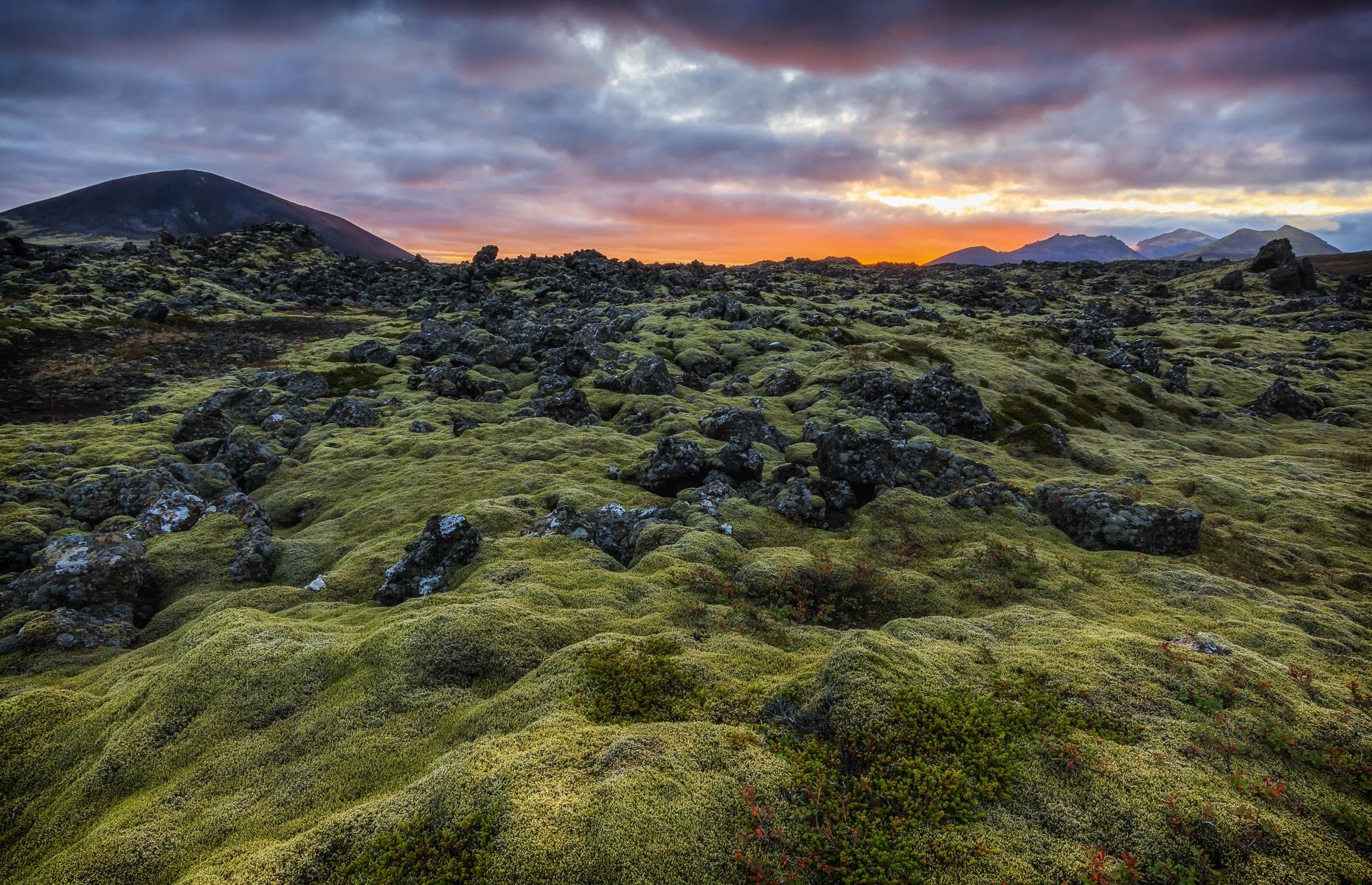 Berserkjahraun Lava Field