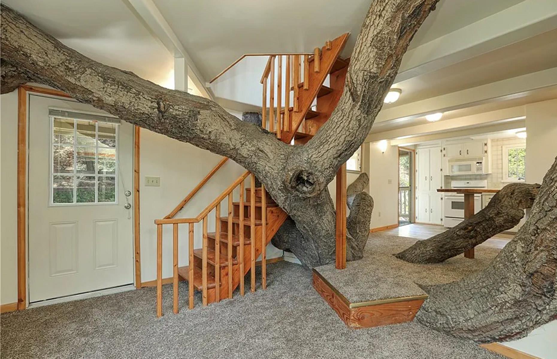 Tree house or house tree?
