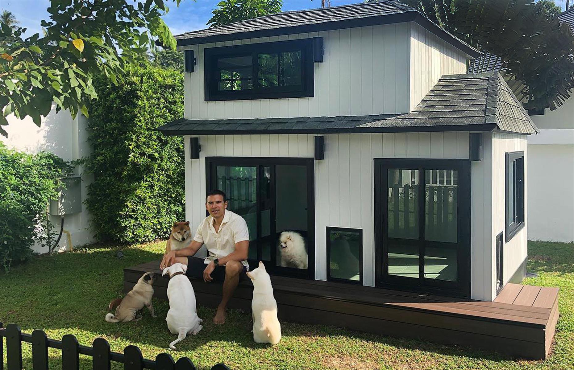 Lap of luxury: extravagant dog beds, houses and more