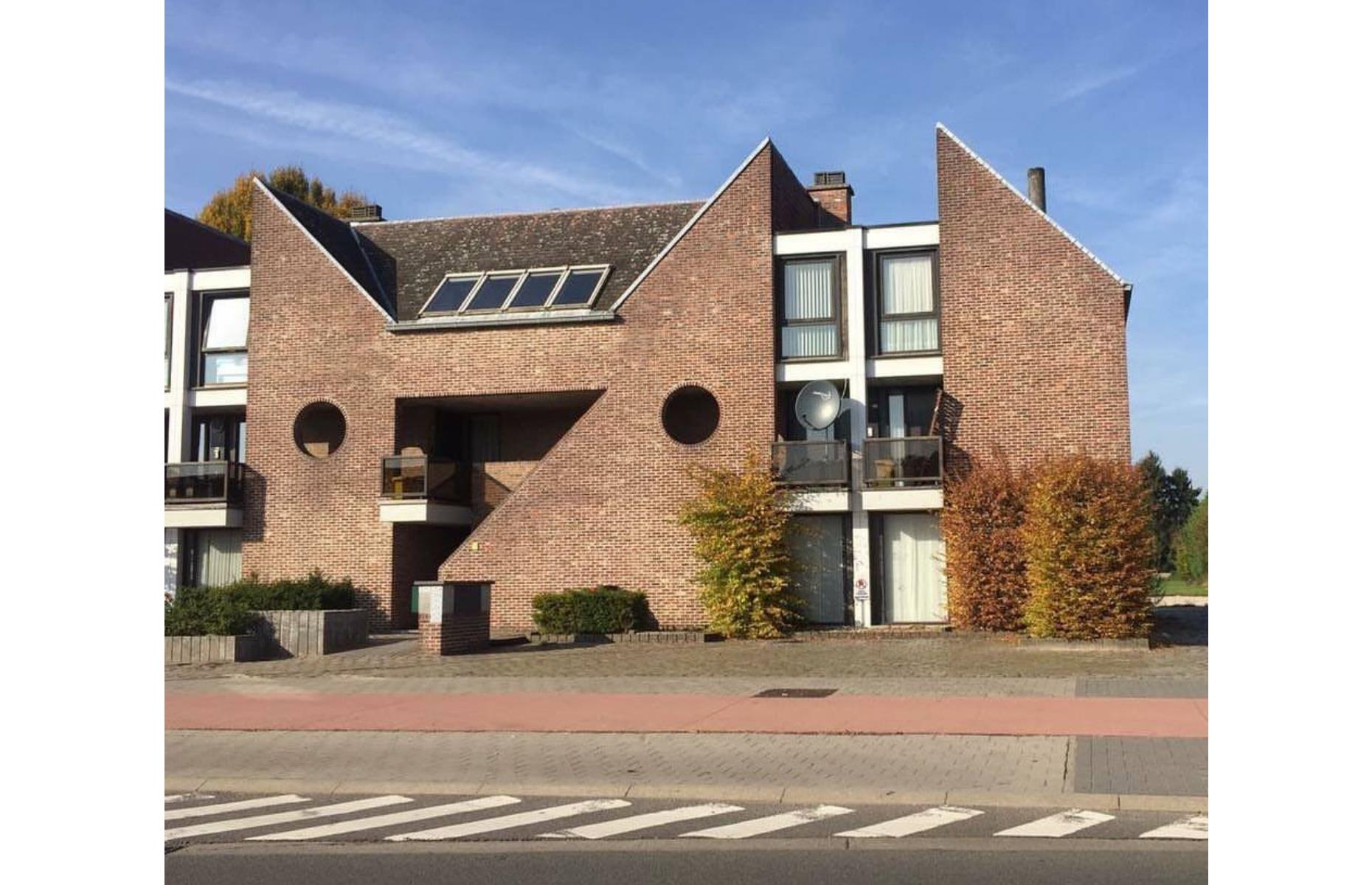 Cat house, Belgium