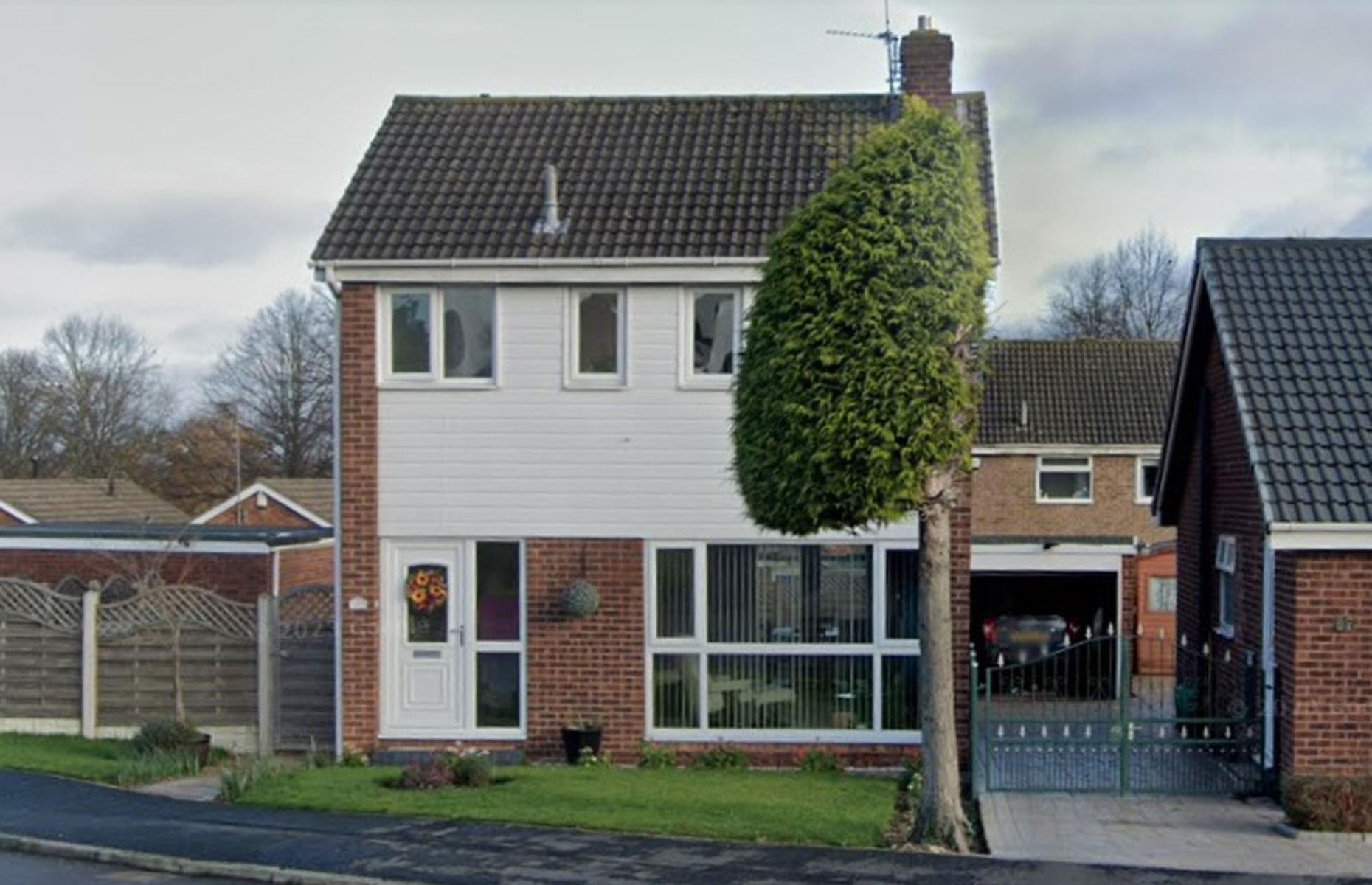 Neighbours' tree cut in half over bird mess