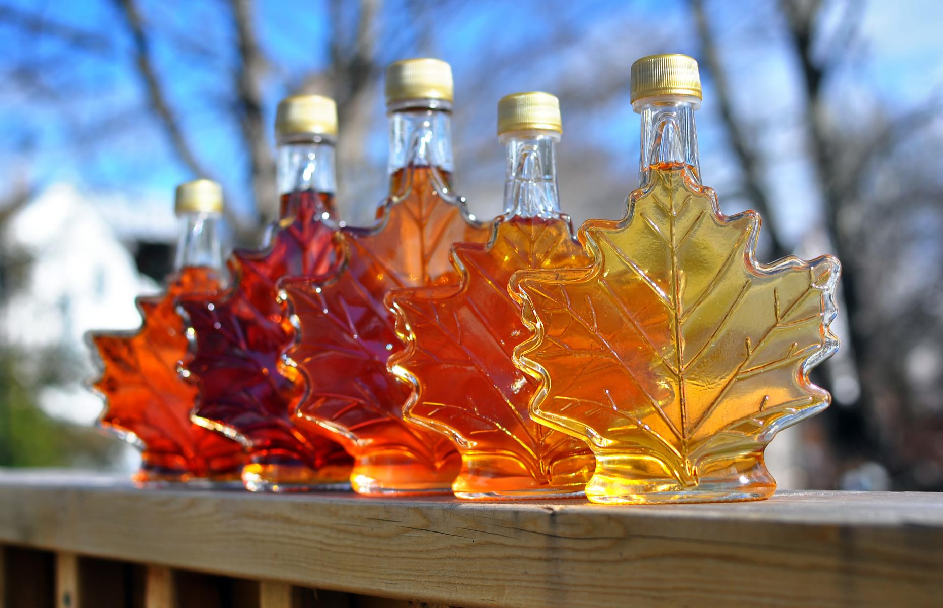 Barrels of maple syrup stack up in Canada