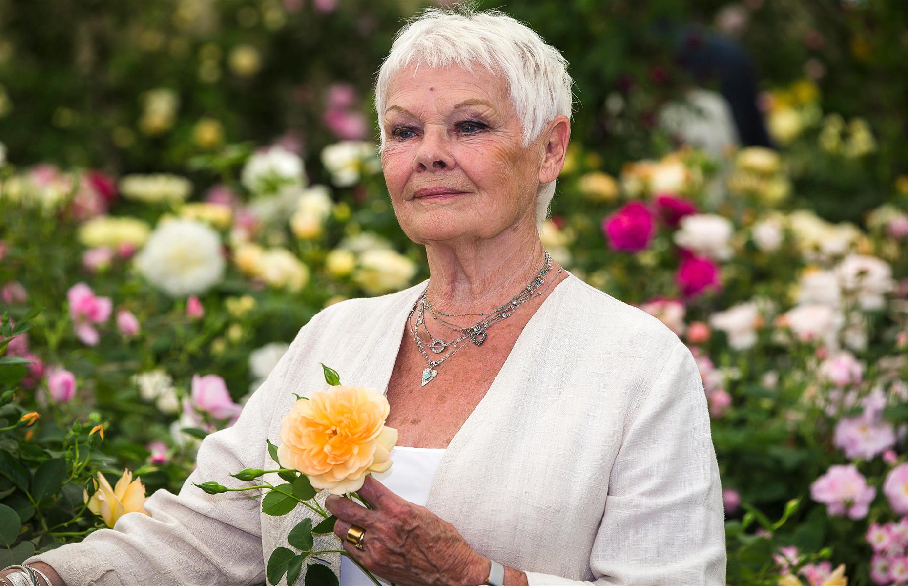 Dame Judi Dench, 90